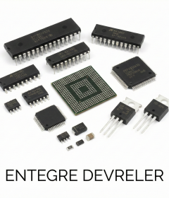 Entegre Devreler