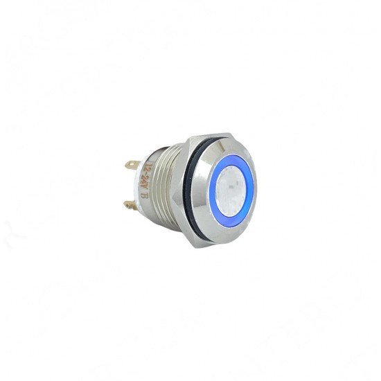 E36 16MM METAL BUTON YAYLI 12-24V MAVİ LED 1NO