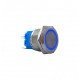 E71 22MM METAL BUTON YAYLI 12-24V MAVİ LED 1NO/1NC