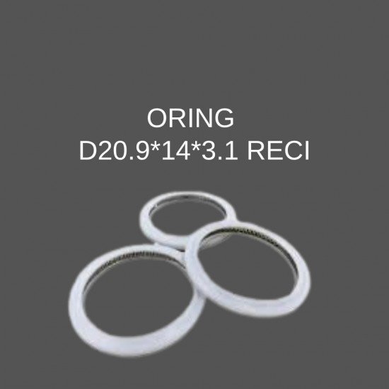 D20.9*14*3.1 RECİ18-2